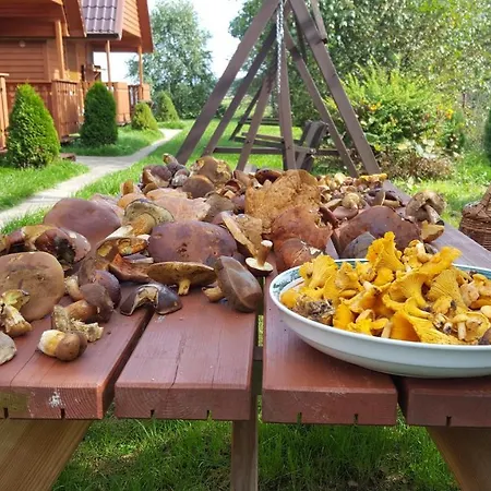 山林小屋 Kanzas Jarosławiec