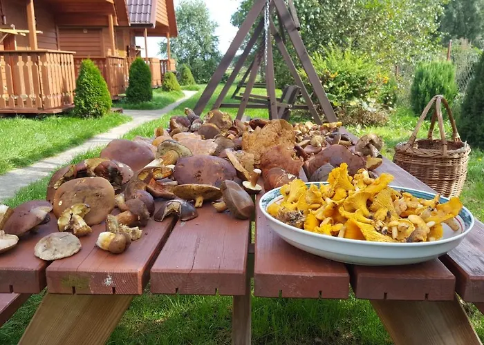 Chata Kanzas Jarosławiec